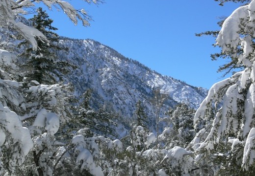 Blue Sky and winter's snow on Mt. Baldy